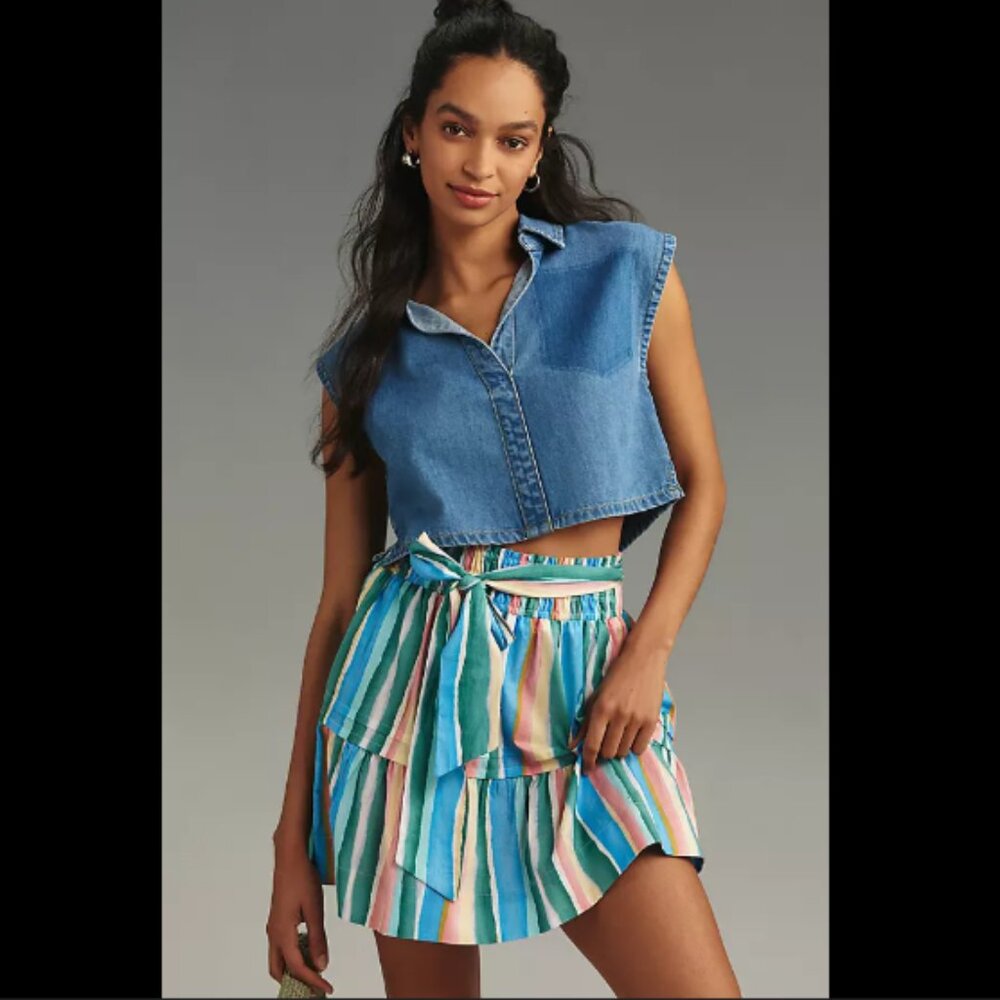 Brand New The Somerset Mini Skirt: Striped Edition